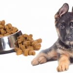 How Much To Feed A German Shepherd Puppy