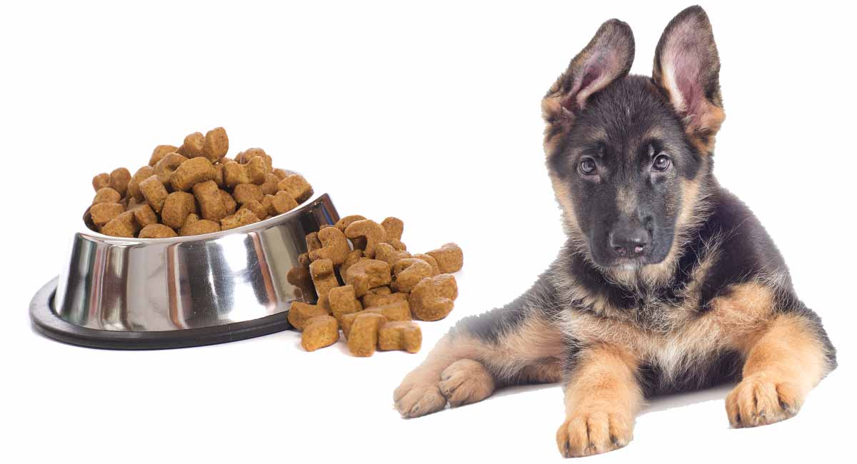 How Much To Feed A German Shepherd Puppy